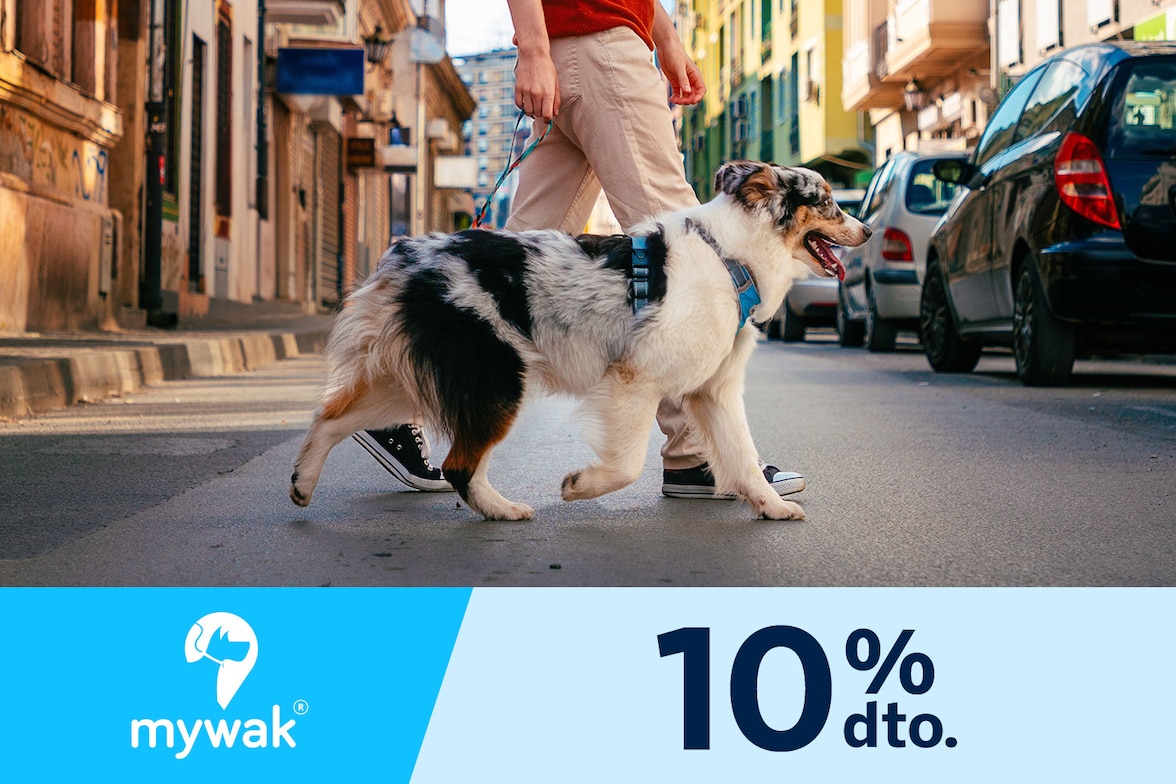 MyWak