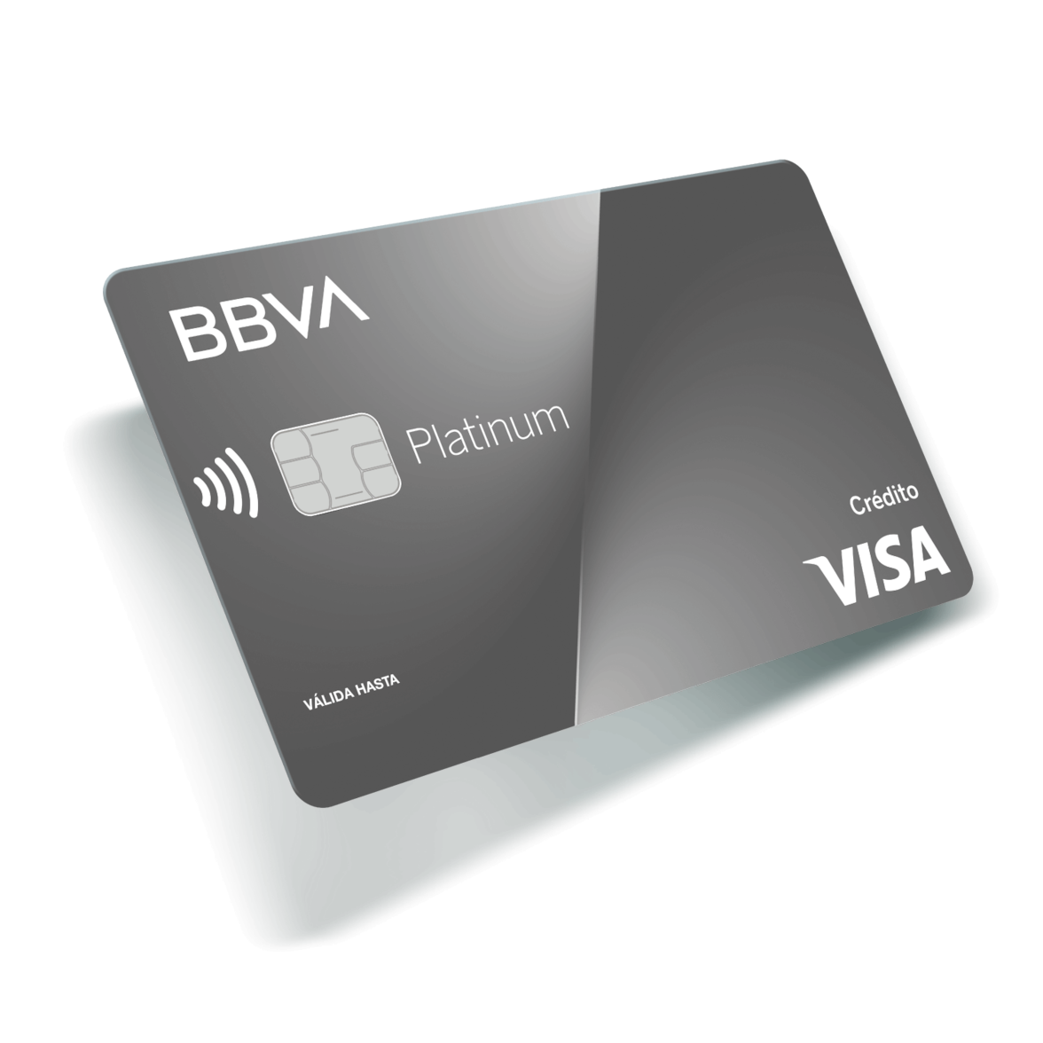 Visa platinum