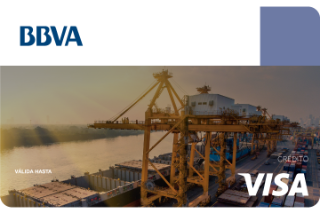tarjeta visa importaciones