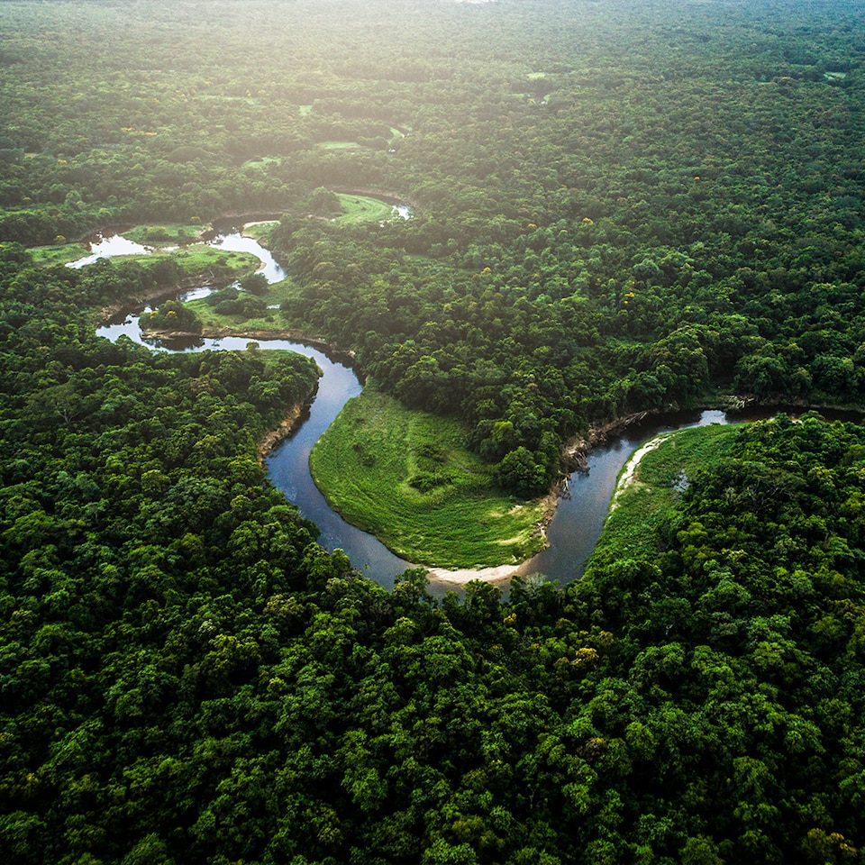 El Amazonas respira