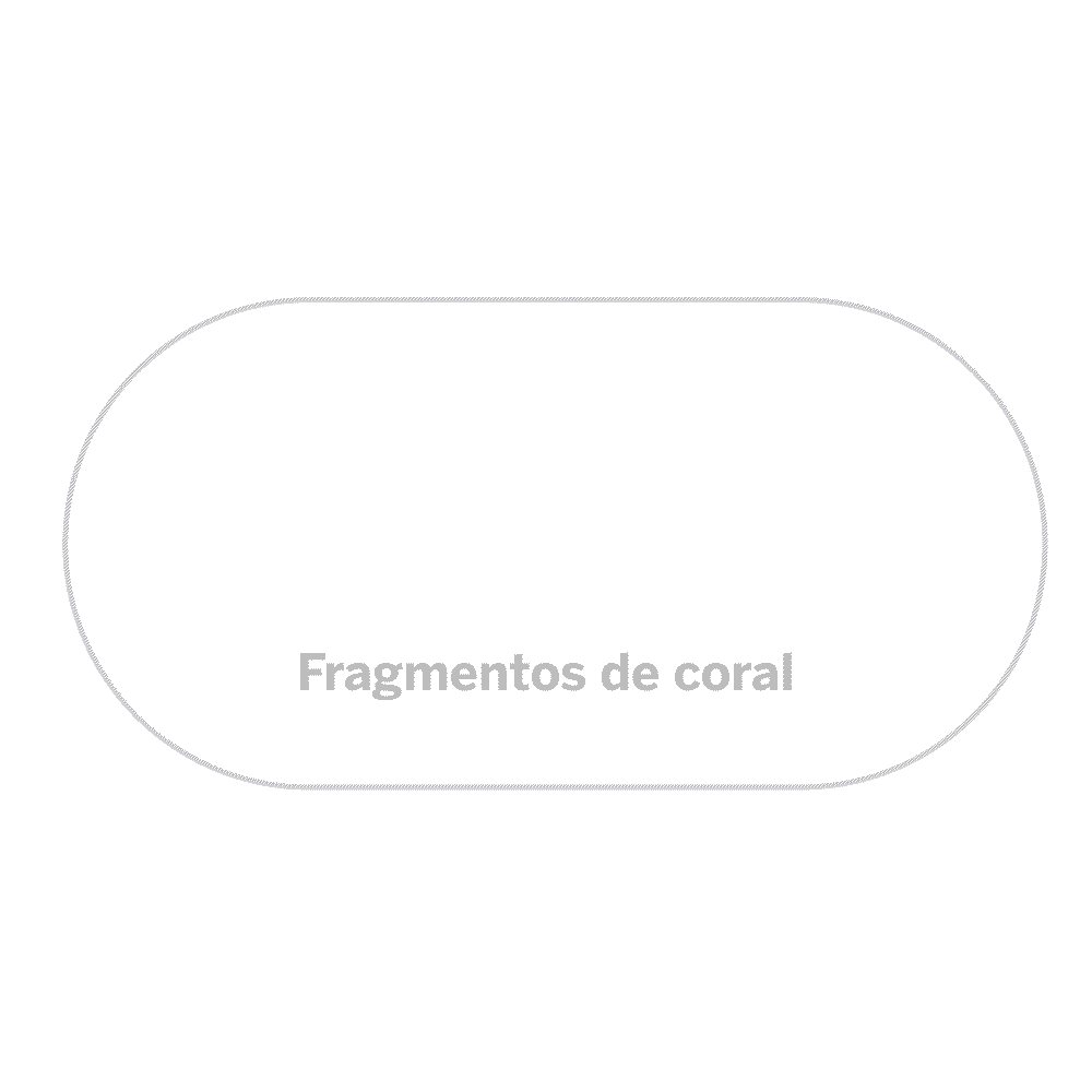 tarjeta coral