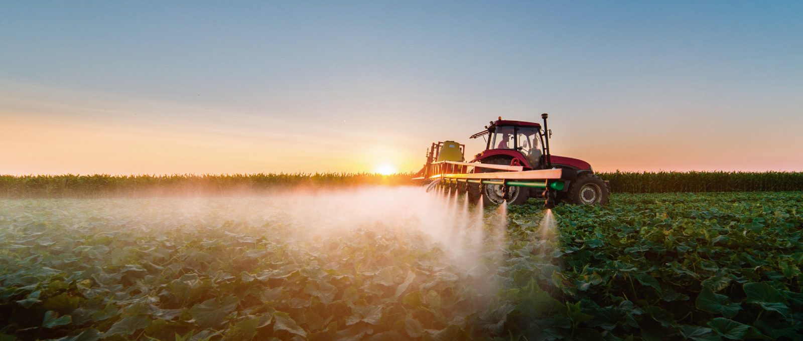 Agroexpo 2019
