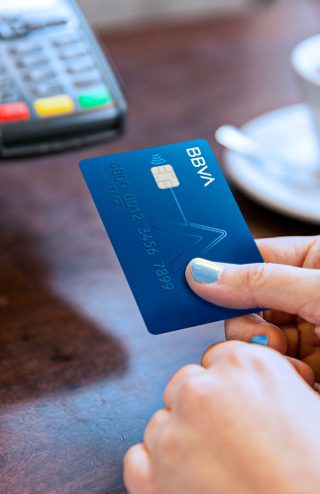 Principales tipos de tarjetas crédito, débito, online y amparada.