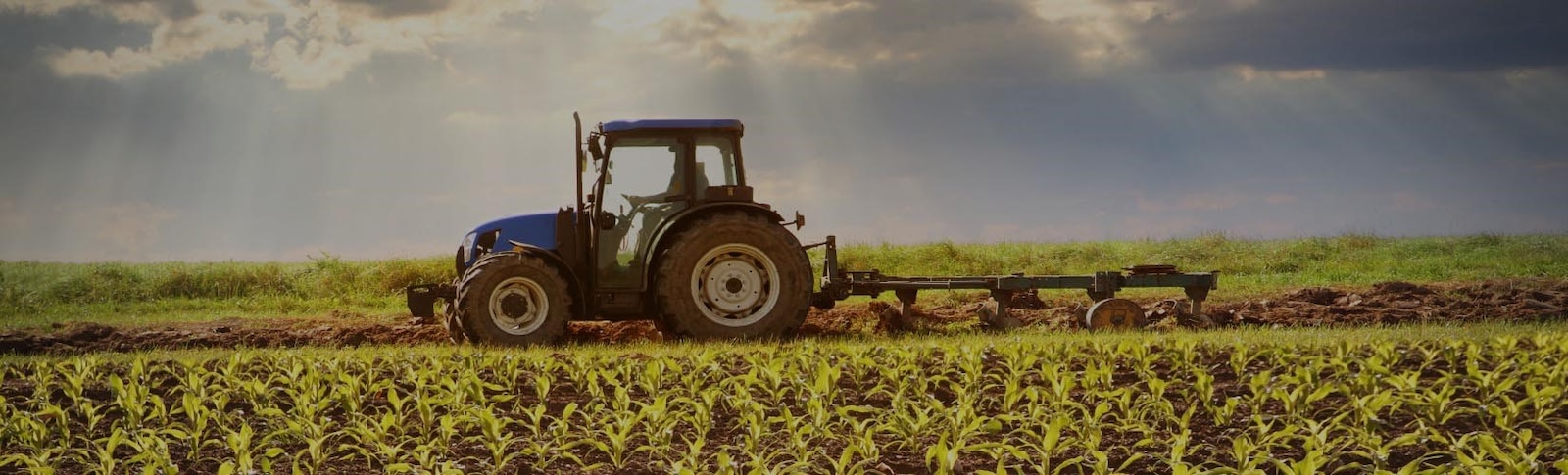 Ferias Agro 2020