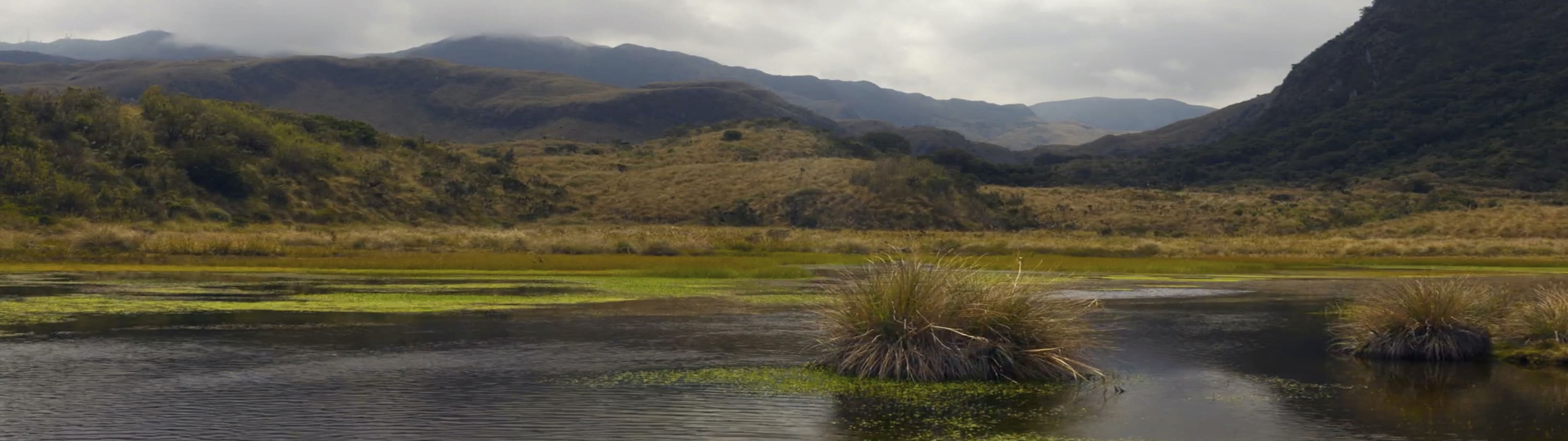fondo paramo