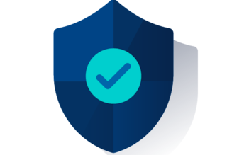 seguridad online